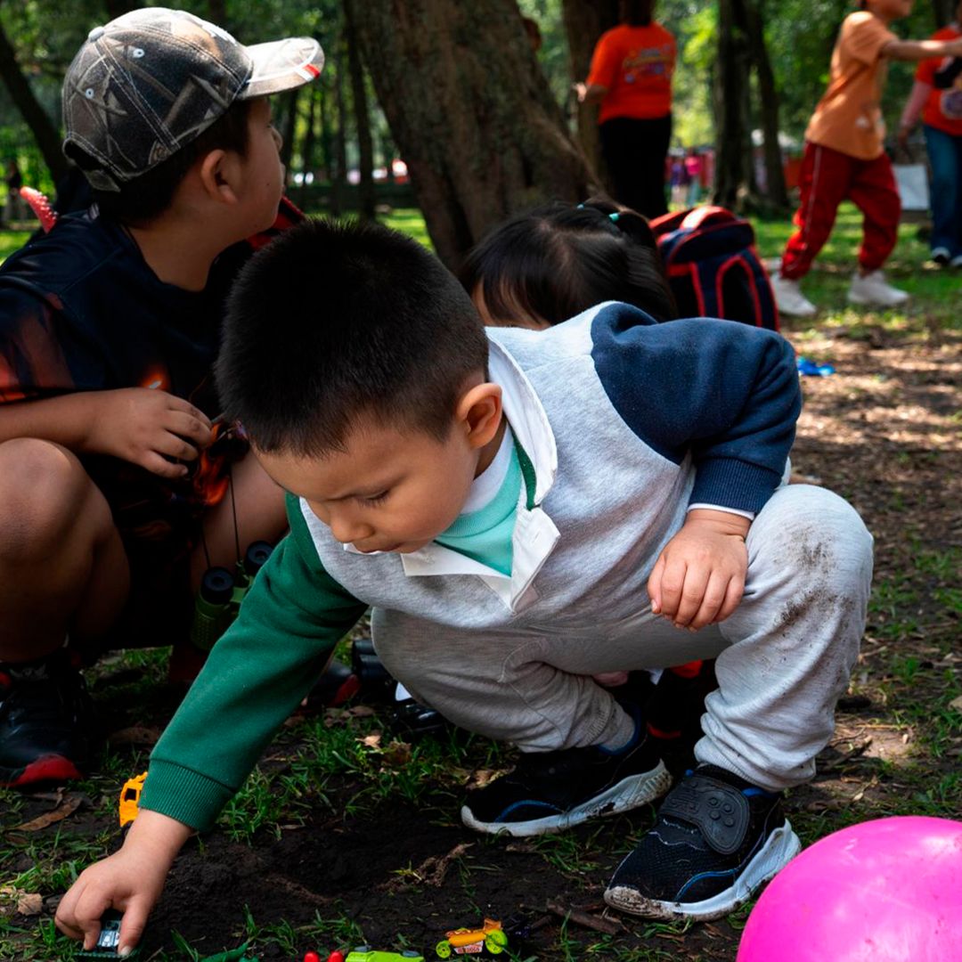 Estudio Revela Intoxicación por Plomo en 1.4 Millones de Niños en México
